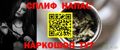 стафф Заводоуковск