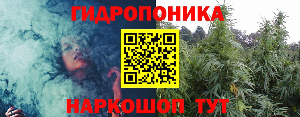 Марихуана сатива Менделеевск